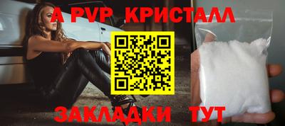 эйфоретик Кингисепп