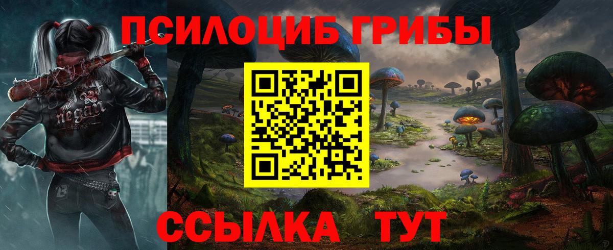 Псилоцибиновые грибы GOLDEN TEACHER Кузнецк